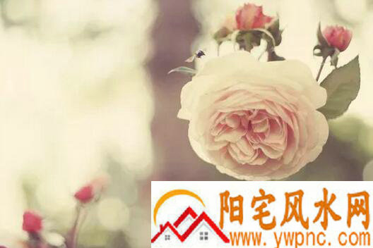 超拽女生的非主流QQ网名