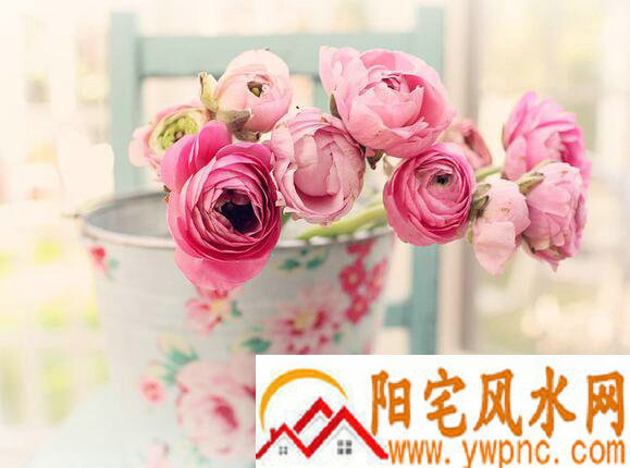 特别唯美的QQ网名