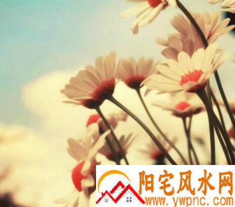 帅气的微信名字大全