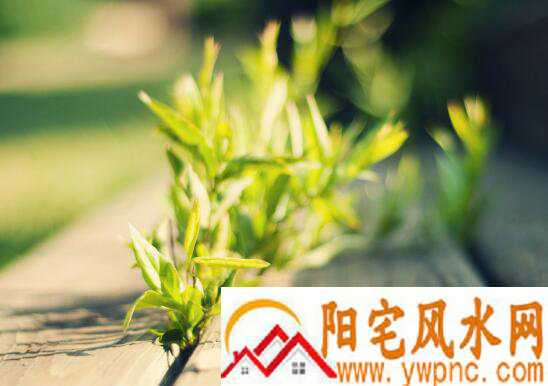 好听的微信名字关于女生