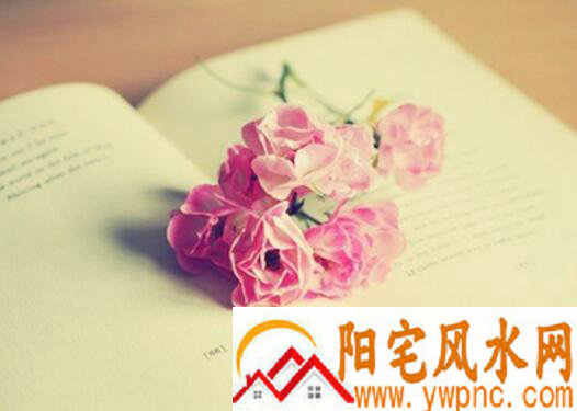 个性网名大全集