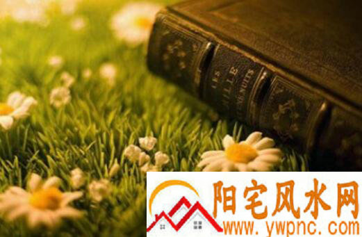 史上最个性网名