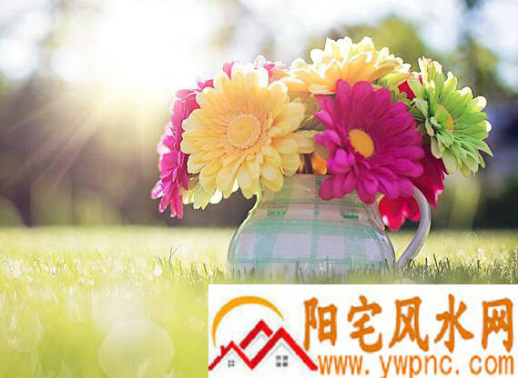 史上最个性的网名