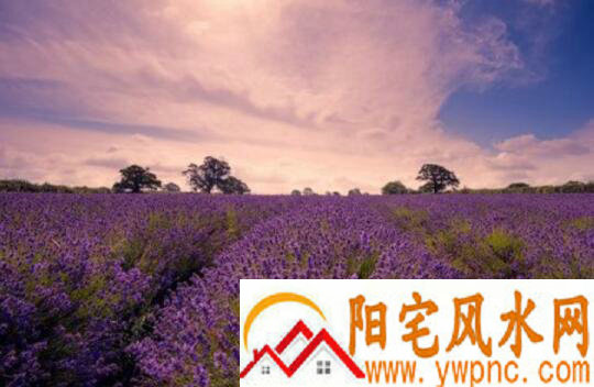 最让人伤感的个性签名