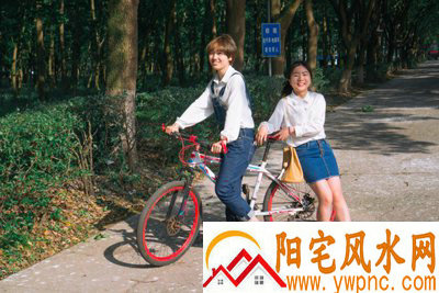 闻人卫相关图片 闻人卫相关图片