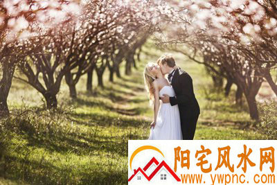 闻人卫相关图片 闻人卫相关图片