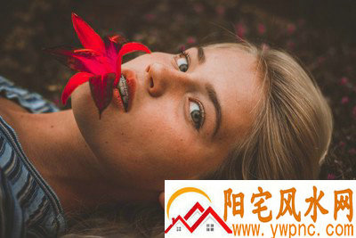 汪桶我相关图片 汪桶我相关图片