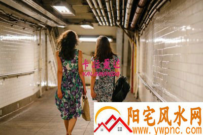 汪桶我相关图片 汪桶我相关图片