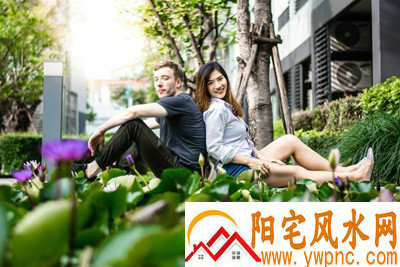 卫豆相关图片 卫豆相关图片