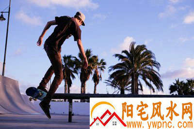 卫豆相关图片 卫豆相关图片