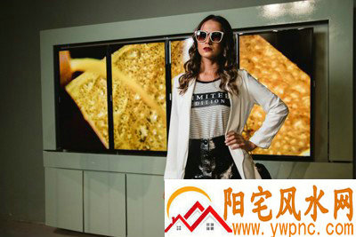 卫豆相关图片 卫豆相关图片