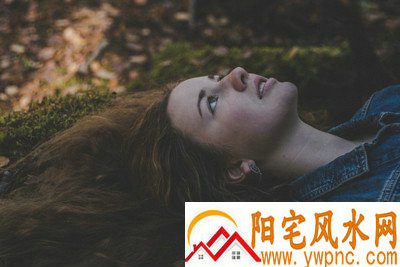 韦犹台相关图片 韦犹台相关图片