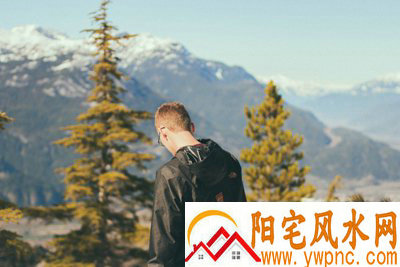 韦茎相关图片 韦茎相关图片