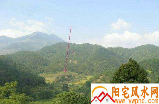 人们过于依赖免费算命神器推荐而忽视内心智慧(免费算命神器推荐会影响休闲活动品质) 人们过于依赖免费算命神器推荐而忽视内心智慧(免费算命神器推荐会影响休闲活动品质)