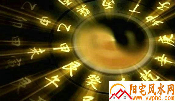 乙酉年购车选牌子真的会影响运势吗汽车牌子吉凶与个人命理有何关联 乙酉年购车选牌子真的会影响运势吗汽车牌子吉凶与个人命理有何关联