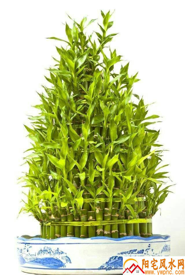 ƹ˾ȡʲôֺ вƵĹ˾