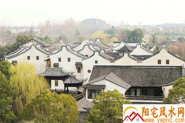 男牛女蛇2025婚姻状况