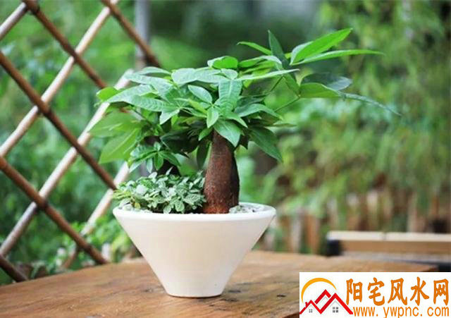 客厅圆形摆件风水禁忌 客厅圆形摆件风水禁忌