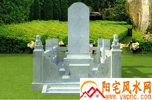 什么属相不能养猫是真的还是假的 生肖中属虎 什么属相不能养猫是真的还是假的 生肖中属虎