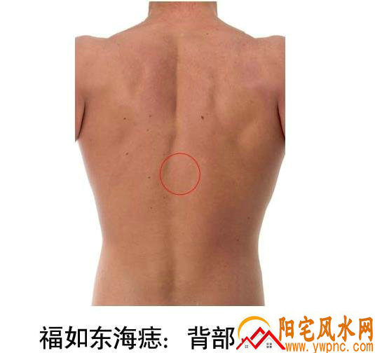 李小萌演过哪些电视剧