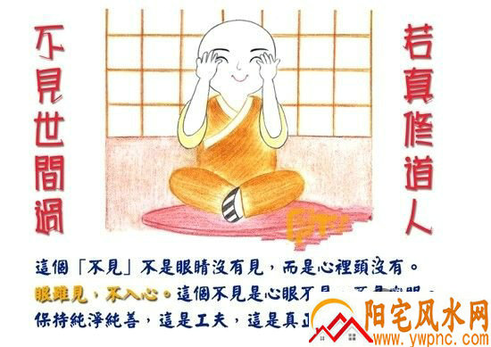 ţ�����и��������� ţ���������Ƽ�