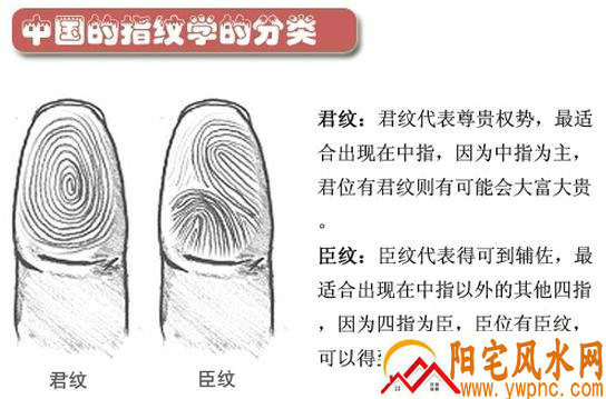 十二生肖是按农历还是阳历 十二生肖是按阴历 十二生肖是按农历还是阳历 十二生肖是按阴历