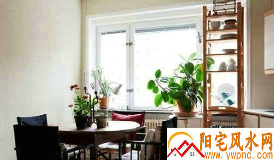 ��δ�����Ů ���İ����������ǽ���������