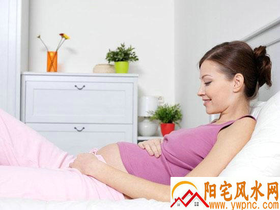 朴施厚家境 朴施厚现况