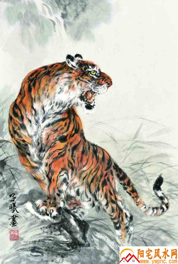 梦现狐狸群 预示何意吉凶如何深度解读梦境狐狸预兆含义 梦现狐狸群 预示何意吉凶如何深度解读梦境狐狸预兆含义