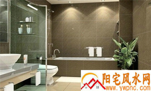 �Ŷ���������ܷ�׼ȷԤ��������ߵ�Ӱ��(�Ŷ�������