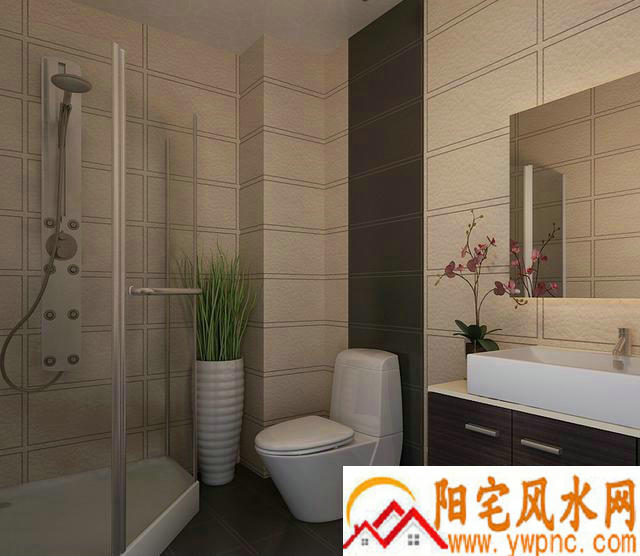 �������ʲôֲ��ȽϺ� �����ſڷ�ʲôֲ�����