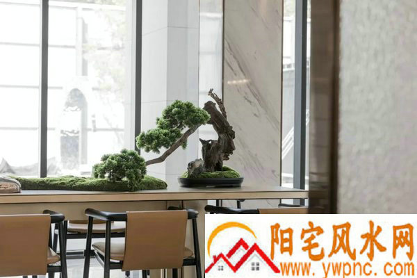 鸭货名字大全未注册商标的 亲切顺口新店名字