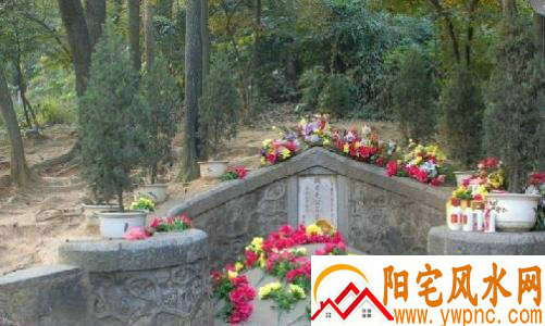 Ī�������ִ��110��