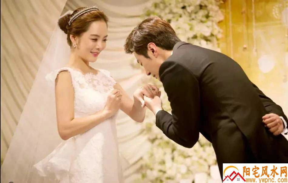 素食主义者 素食主义者和纯素食主义者的区别