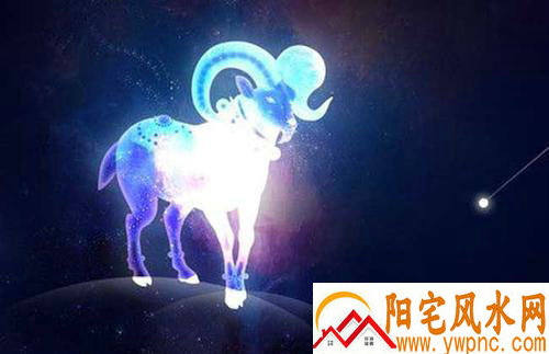 唐笑与王磊的婚姻状况