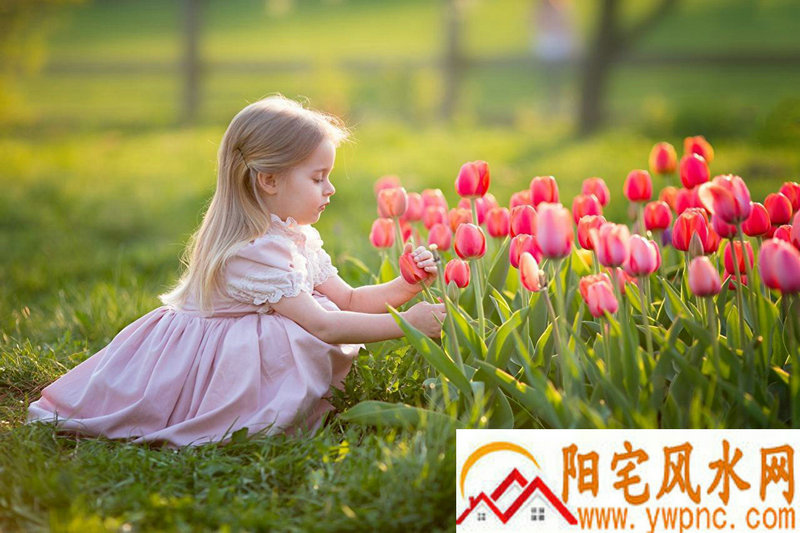 ʮФζŰڼ(ʮФڰڻʲô)