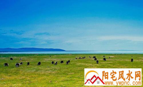 命中注定的缘分暗示王源欧阳娜娜 为什么会说王源和欧