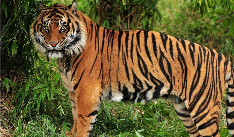 2025313ճò ʮһıȡ