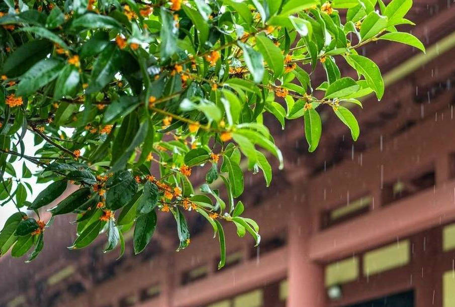 情侣生日测试婚姻配对准吗庚申年真的能预测感情走向和