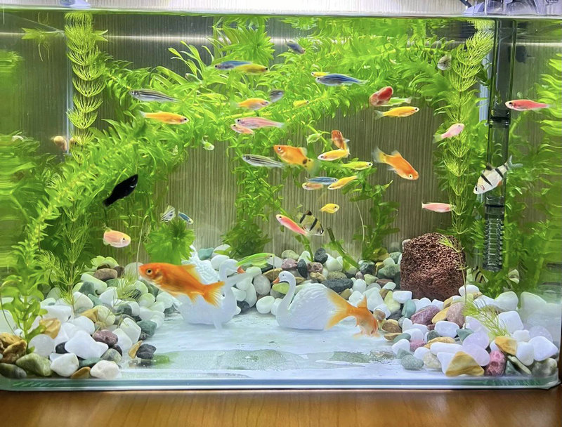 кܷѭԭԱܻ(кܿǸĸӰ)