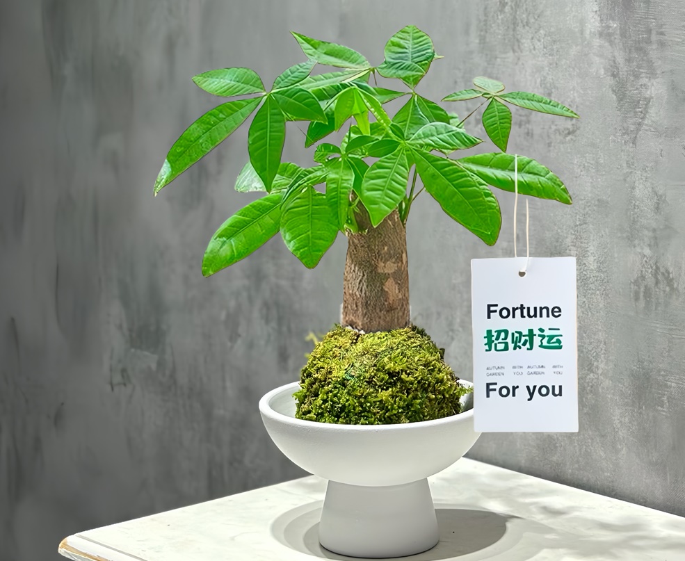 八字算命斤量_命理八字算命斤量 为你什么 八字算命斤量_命理八字算命斤量 为你什么