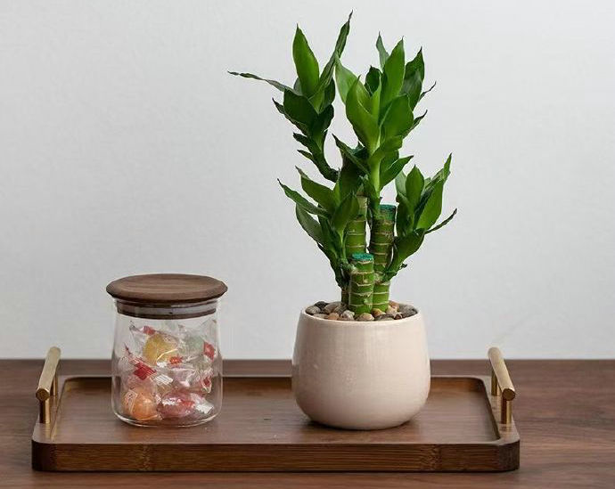 八字看自己未来职业