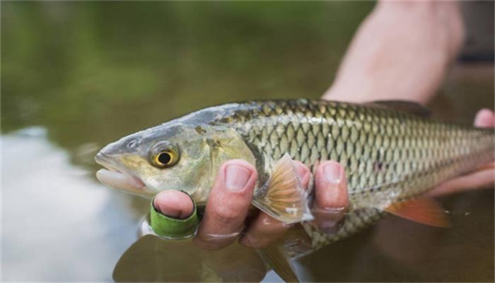 床头柜的风水禁忌 床头柜的风水禁忌