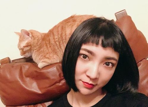 酒店房间布置风水禁忌