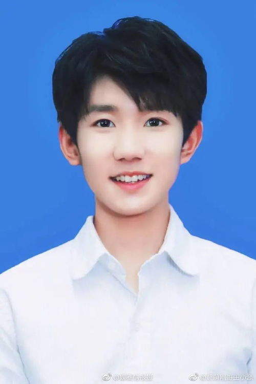 癸巳年汽车牌照吉凶号码查询网址影响行车安全与运势的命理探讨 癸巳年汽车牌照吉凶号码查询网址影响行车安全与运势的命理探讨