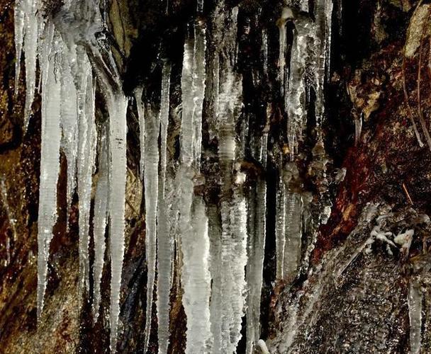 如何找到真正好用的洗发水 如何找到真正好用的洗发水