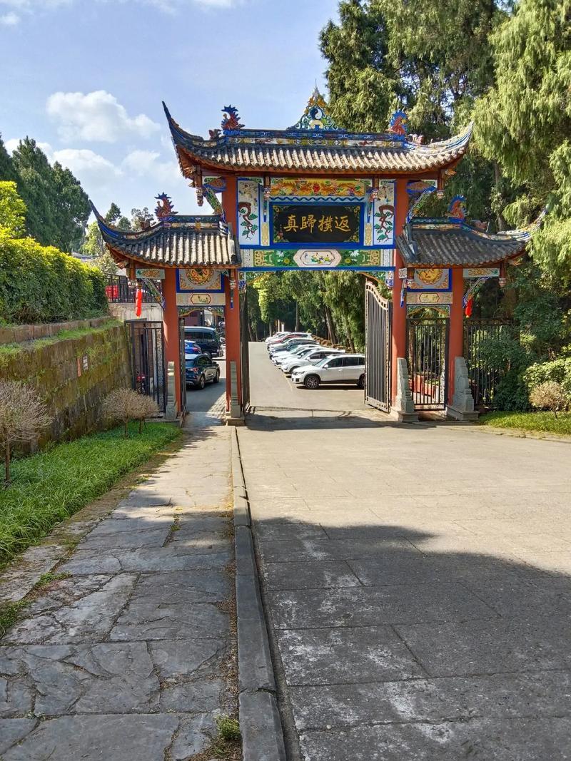 董卿的节目_董卿的节目视频