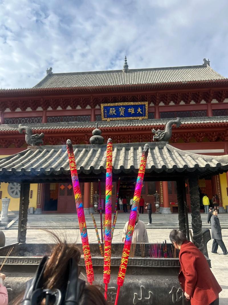 如何养护紫色玫瑰 让你的花园增添一抹神秘色彩 如何养护紫色玫瑰 让你的花园增添一抹神秘色彩