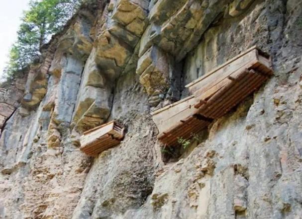 猪的婚配属相_属猪人的婚配指南_寻找最佳属相伴侣 猪的婚配属相_属猪人的婚配指南_寻找最佳属相伴侣