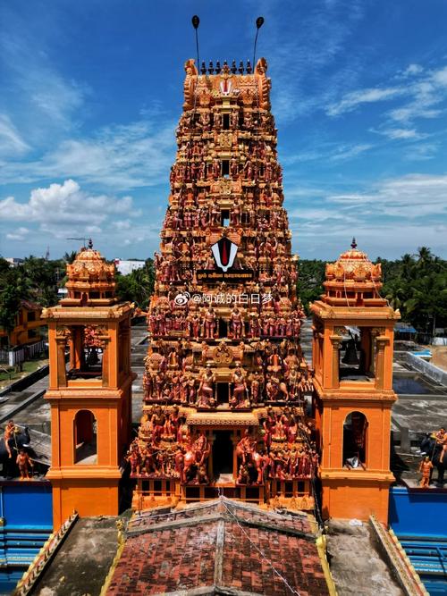 ��ţ�˻�����Щ�������г ��������ܴ����Ҹ���